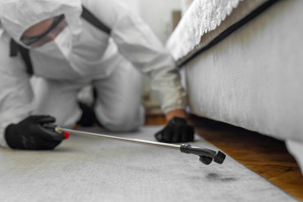 Professional Termite Control technician working in West Slope, OR
