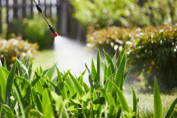 24/7 Emergency Termite Control experts in West Slope, OR