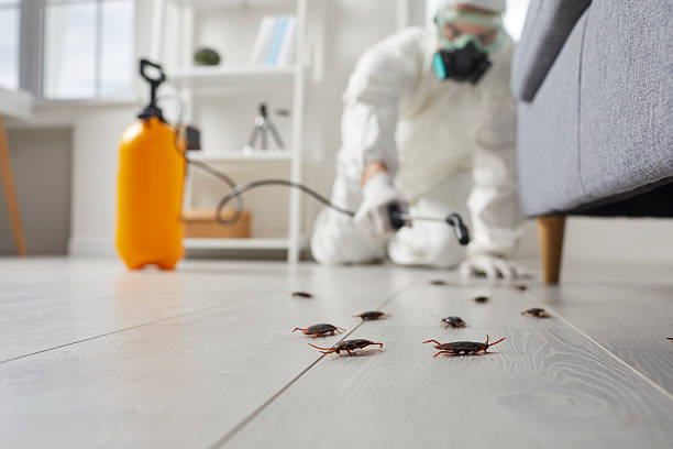 Trusted Cockroach Control service in West Slope, OR - Nex Pest Control