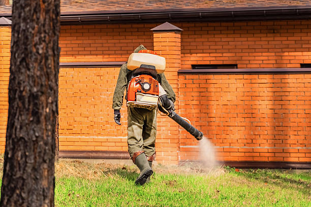Trusted Bed Bug Control service in West Slope, OR - Nex Pest Control